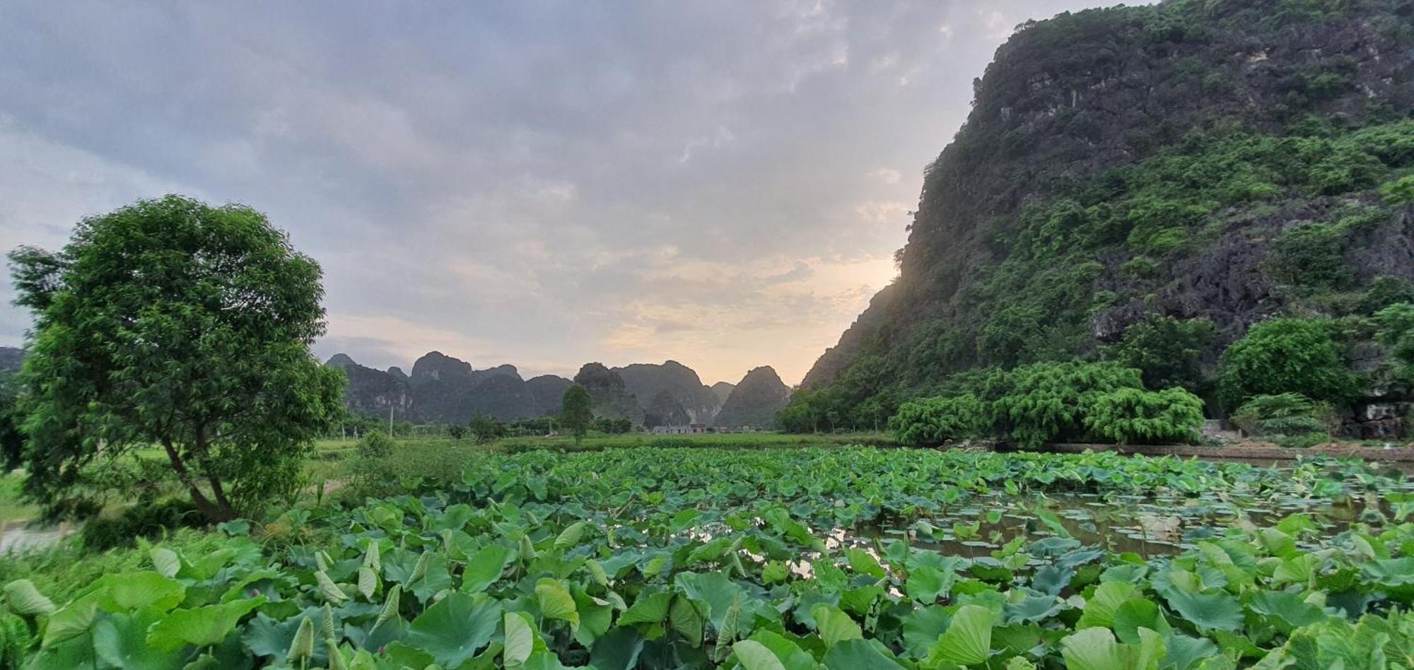 Trang An Rice Field Homestay Νιν Μπιν Εξωτερικό φωτογραφία