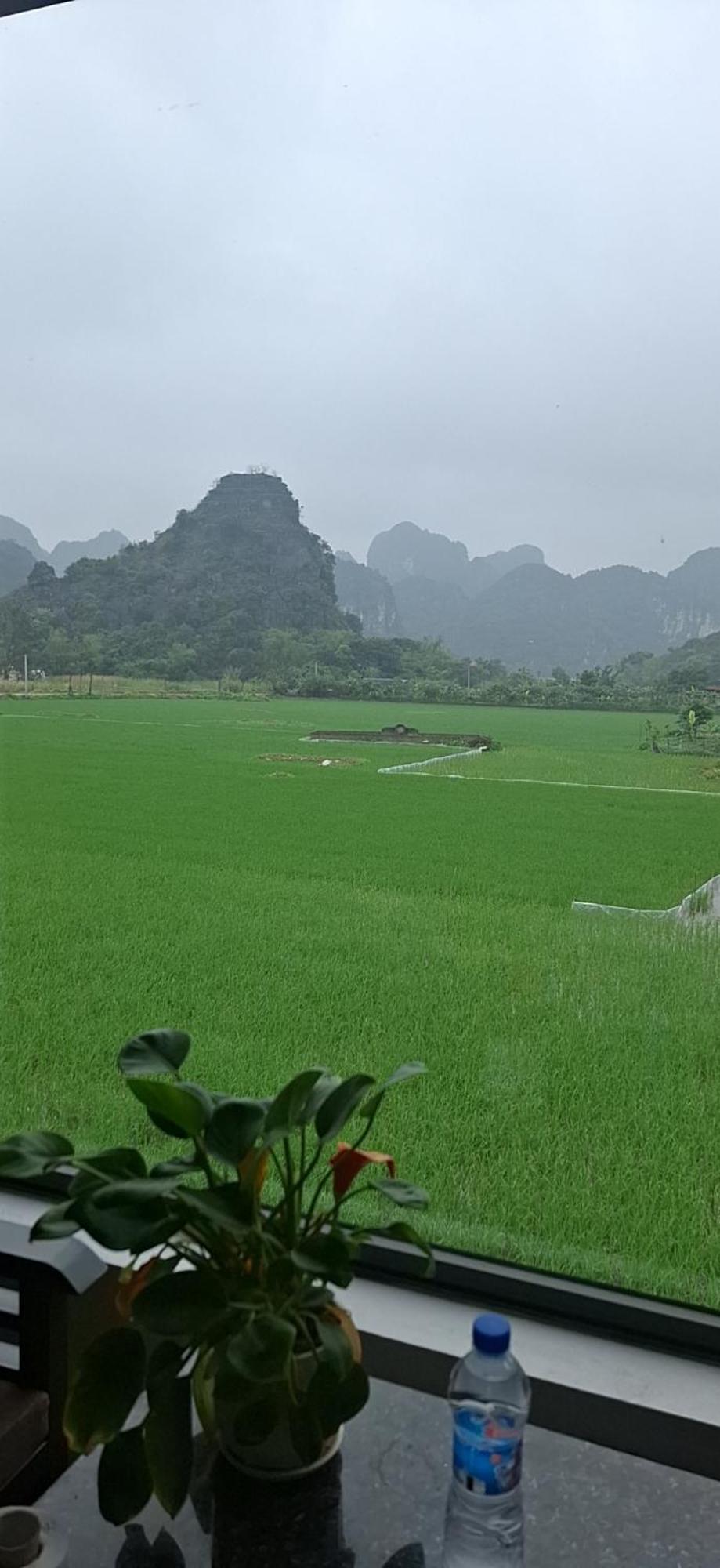 Trang An Rice Field Homestay Νιν Μπιν Εξωτερικό φωτογραφία